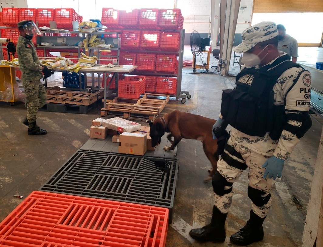 El operativo se realizó con apoyo de un binomio canino