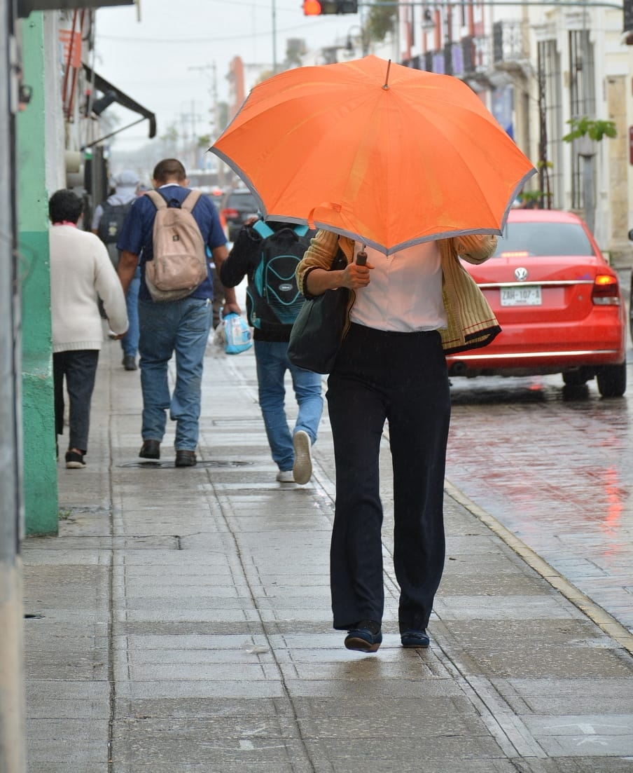 Foto: Oscar Suaste