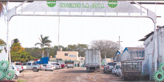 Frente Frío afecta industria azucarera en Campeche Frente Frío afecta industria azucarera en Campeche