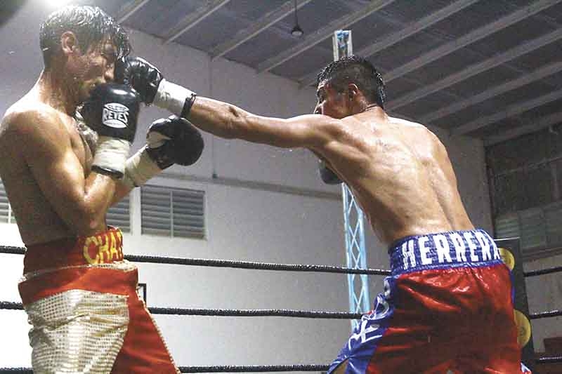 Todo listo para la primera función de box en Yucatán Todo listo para la primera función de box en Yucatán