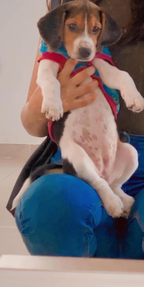 Foto: Facebook Paulina Zapata