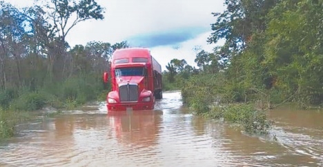 Foto: Jorge Caamal