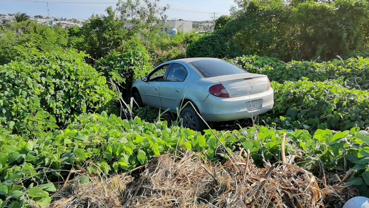Foto: José Pacheco