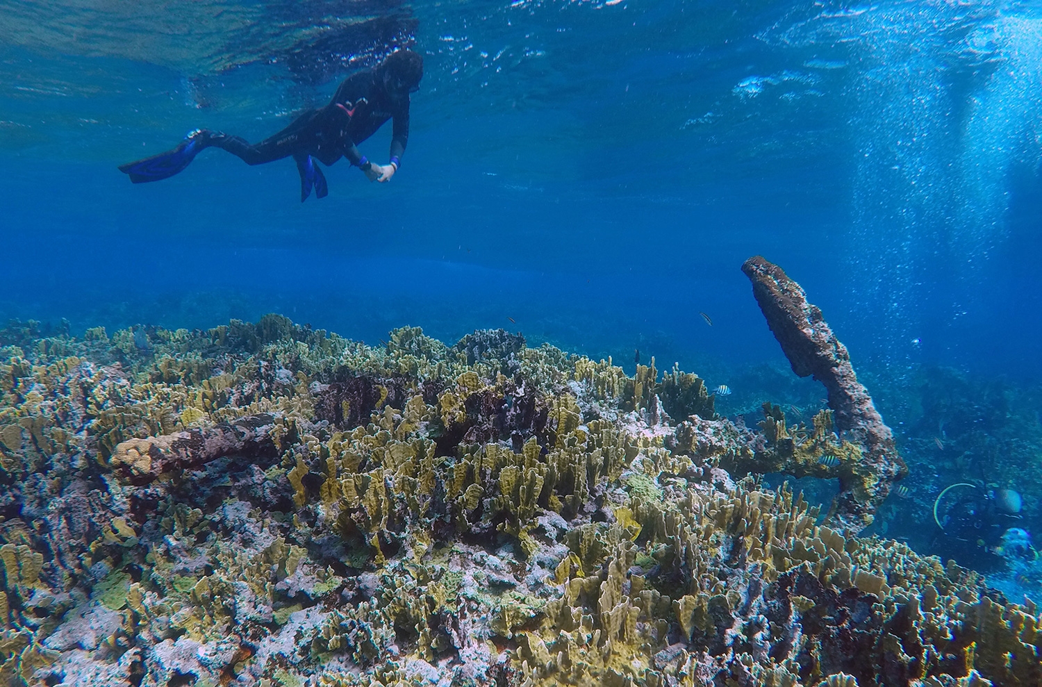 La belleza del mar azul, coral y un toque de historia La belleza del mar azul, coral y un toque de historia