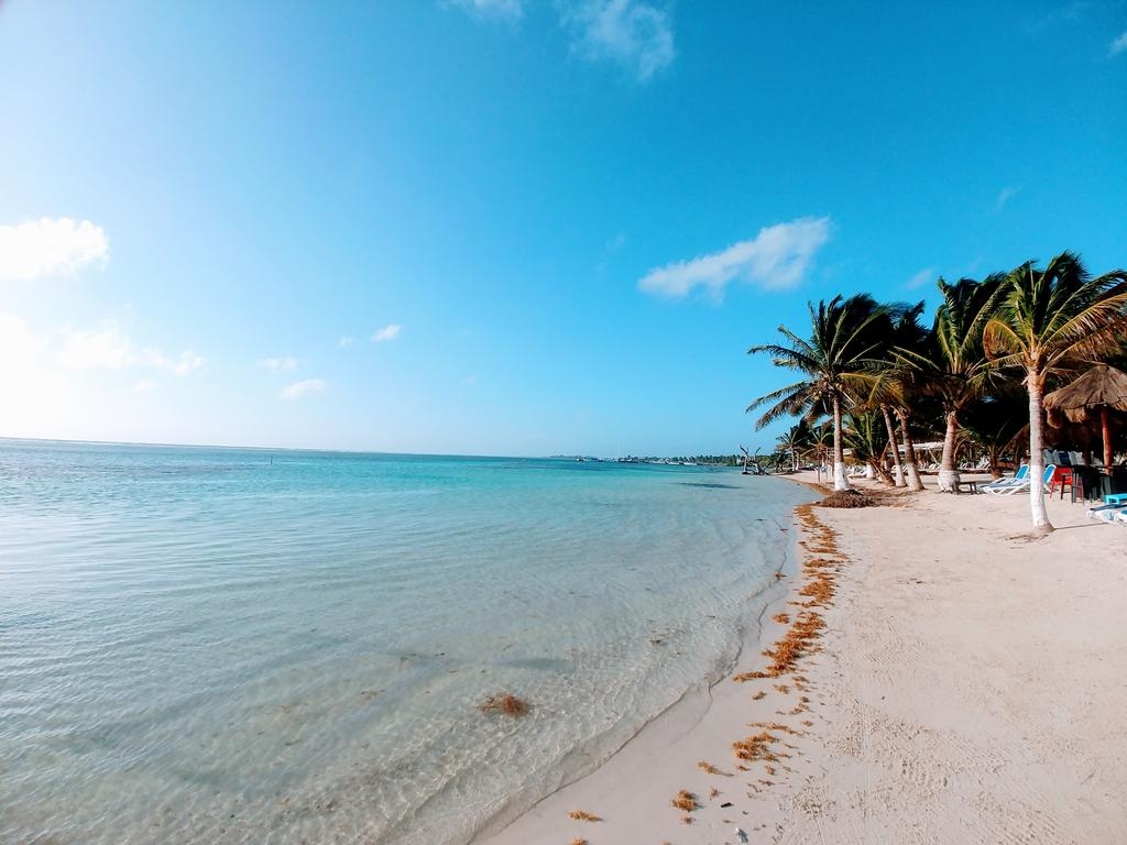 Mahahual tiene una de las playas públicas más grandes de Quintana Roo
Mahahual tiene una de las playas públicas más grandes de Quintana Roo