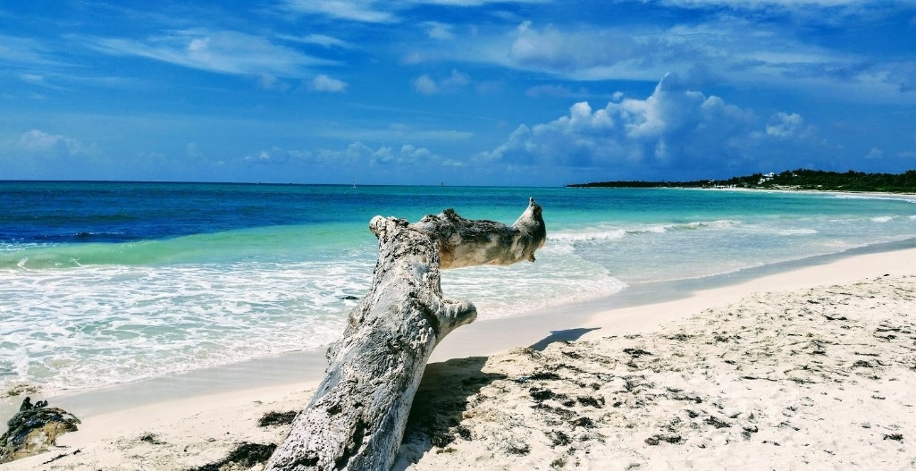 Su vista es paradisiaca Su vista es paradisiaca