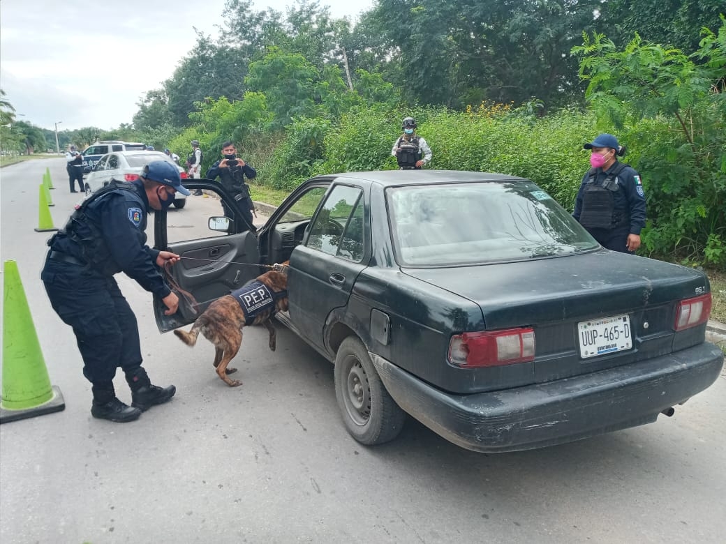 El operativo se inició esta mañana en Chetumal.