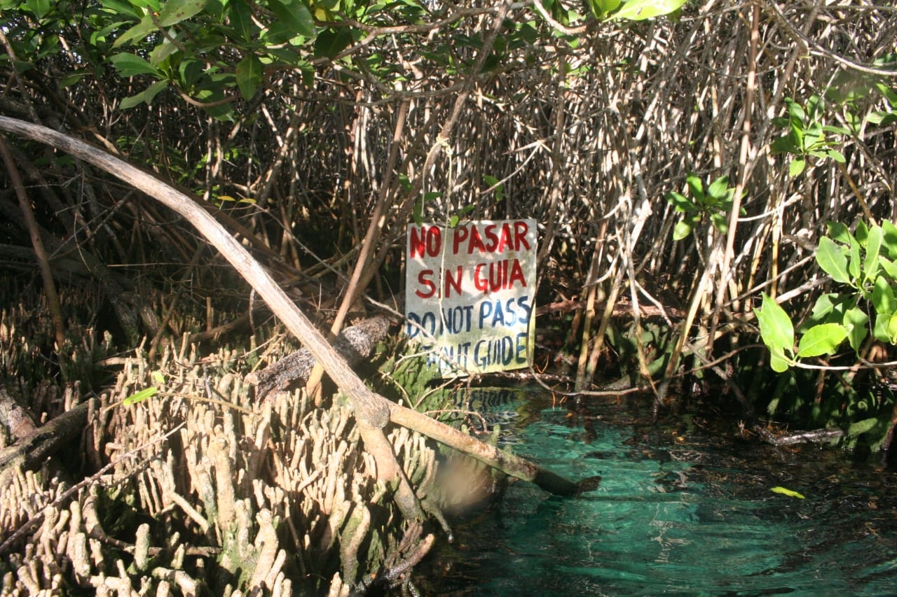 Protección Civil prohibió el acceso al sitio