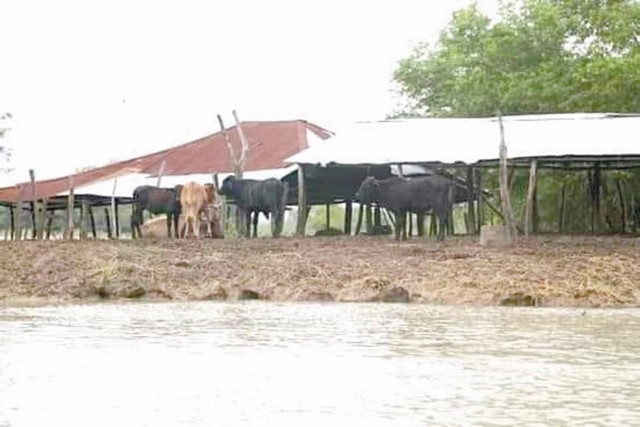Foto: Julio Gutiérrez