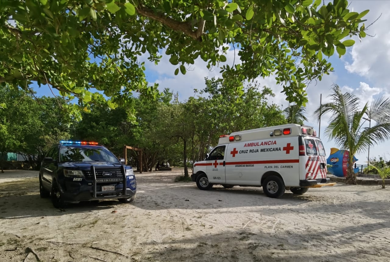 La menor fue rescatada y dirigida al DIF Playa del Carmen