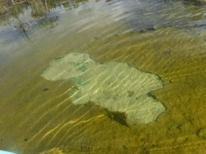 La laguna tiene aún restos de tierra y sedimentos La laguna tiene aún restos de tierra y sedimentos