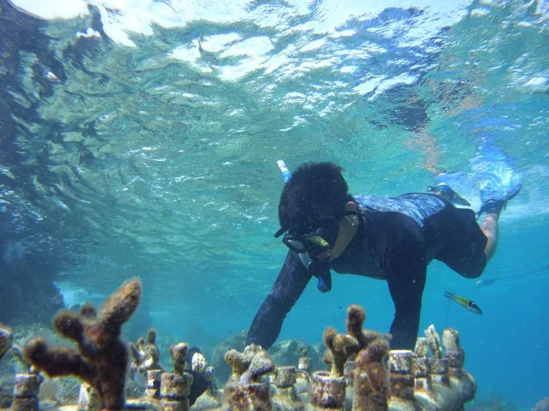Los daños tras los huracanes en 20202 fueron mínimos