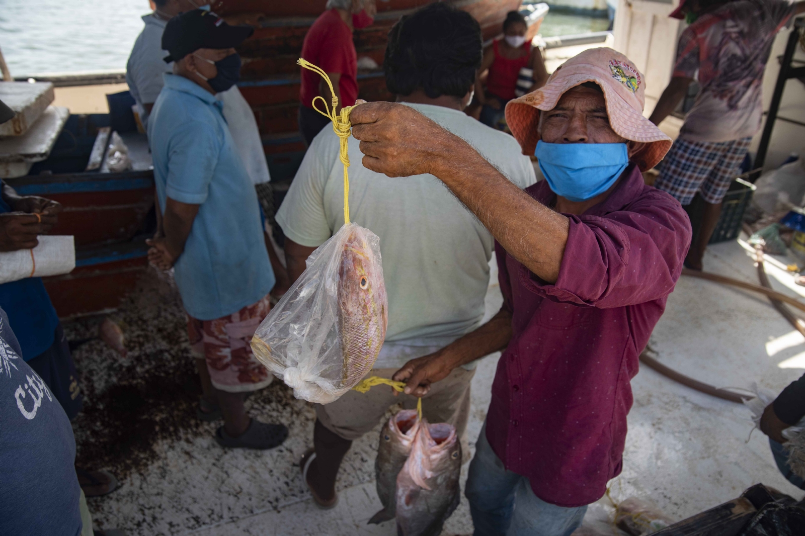 Más de 12 mil pescadores recibirán este año el apoyo directamente en sus hogares