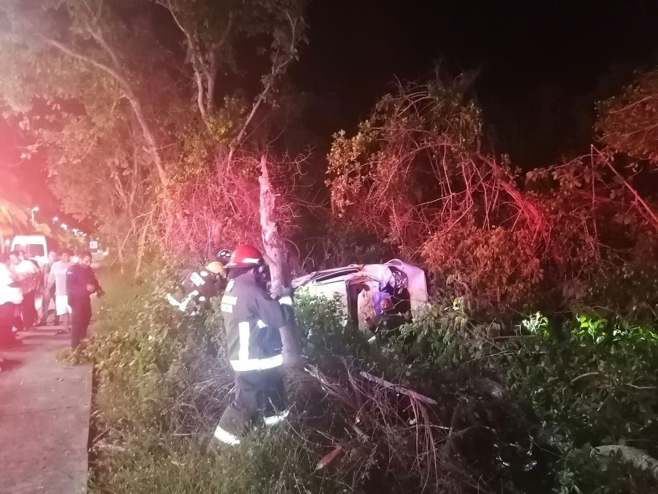 Conductor se estampa contra manglares de la Zona Hotelera de Cancún