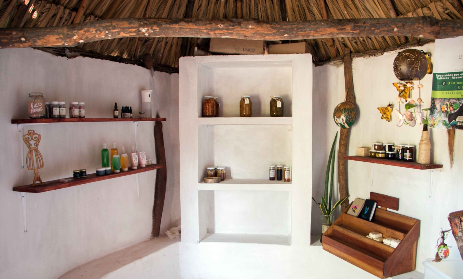 La familia De la Cruz-Castillo ha emprendido en el interior de su predio el rescate del solar tradicional maya