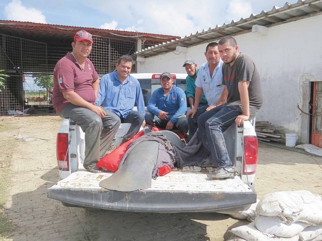Foto: J. Gutiérrez