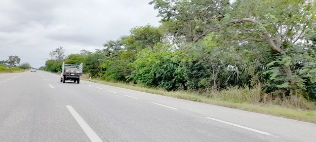 Foto: J. Valencia