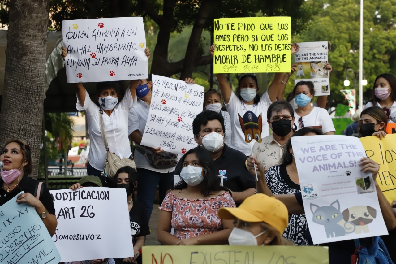 MÁS de 100 activistas, líderes de agrupaciones y ciudadanos en pro de los derechos de los animales se manifestaron en el Palacio Municipal, para tachar al Edil de “mentiroso” por decir que avalaban el documento que rechazó el Cabildo