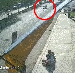 Pese al terrible hecho, el conductor del vehículo huyo del lugar