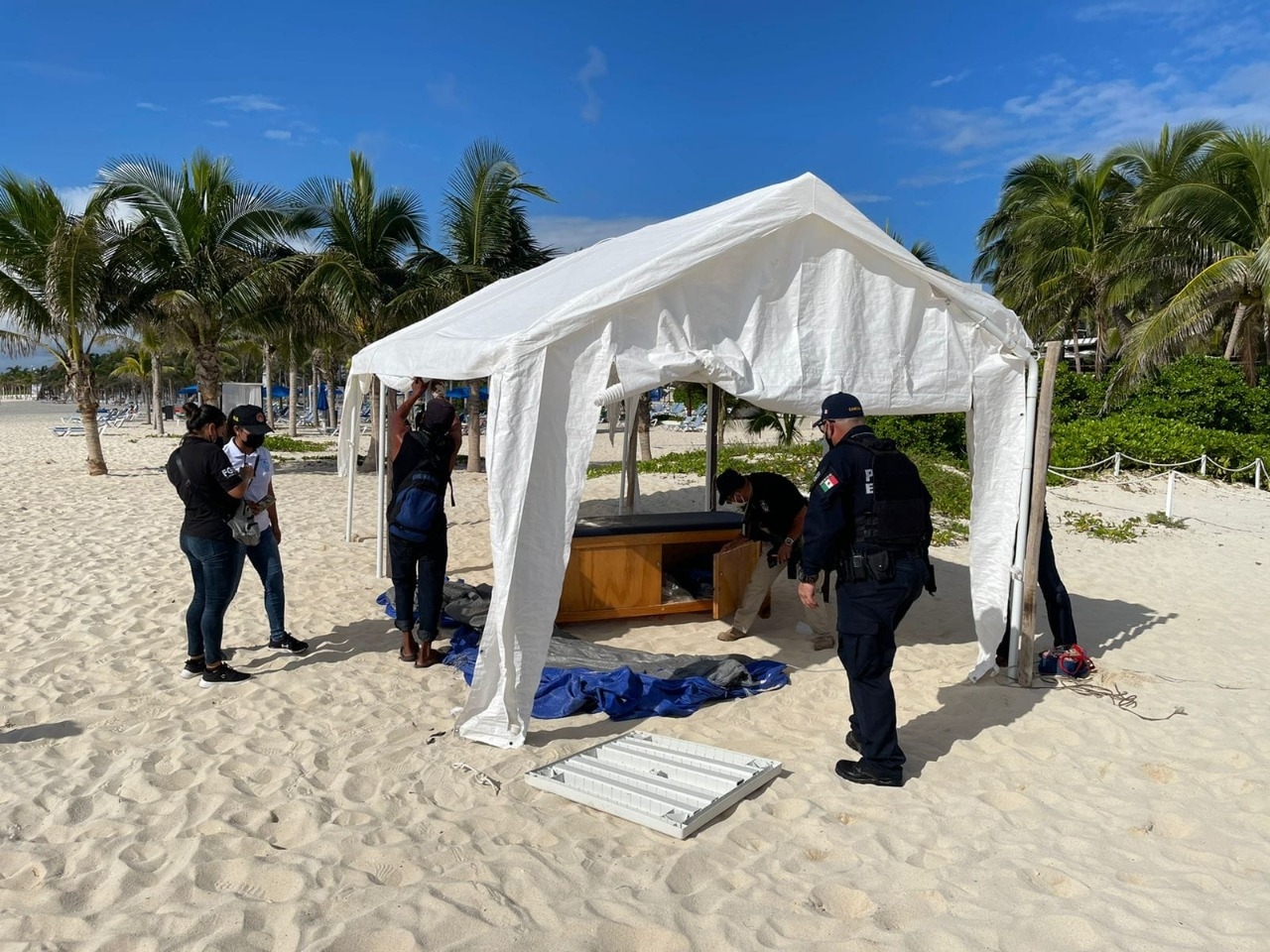 Bajo el esquema Playa Segura en la zona exclusiva de Playacar, retiran mobiliario y personas que no contaban con permisos