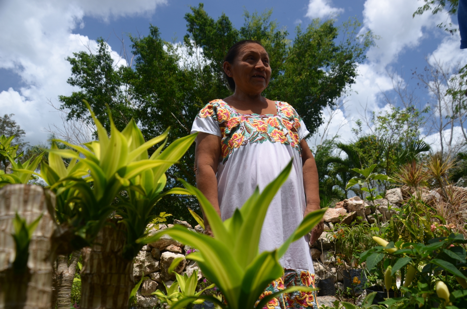Las mujeres campesinas declararon que están limitadas en apoyos sociales para trabajar las tierras en Carrillo Puerto