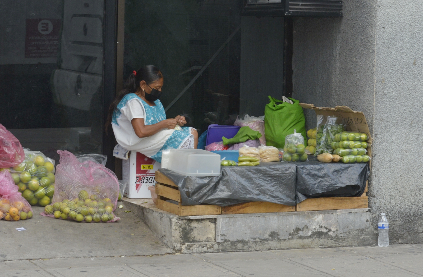 Mujeres rurales son el sustento completo del hogar Mujeres rurales son el sustento completo del hogar