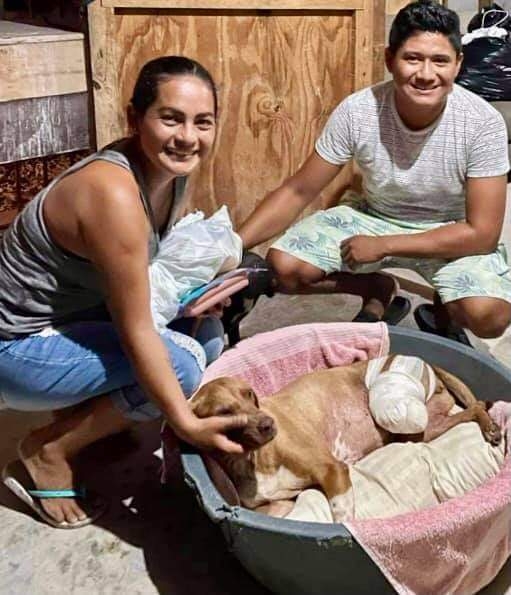 Macha, fue atacada en días pasados por un cocodrilo en la comunidad pesquera de Xcalak