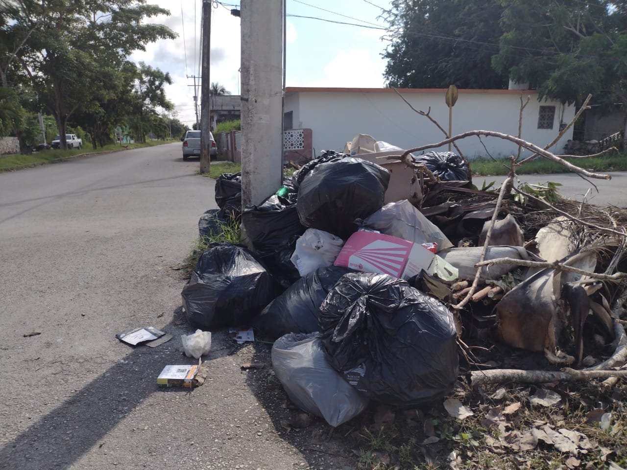 En toda la ciudad se generan entre 70 a 90 toneladas diarias