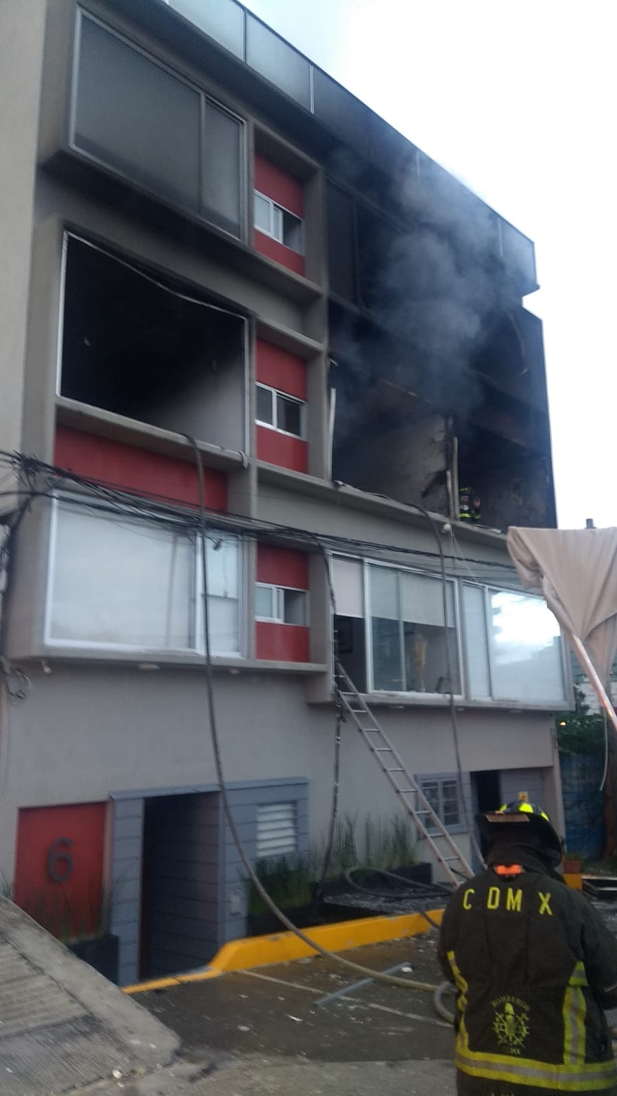 De acuerdo con el Heroico Cuerpo de Bomberos de la Ciudad de México, sus elementos extinguieron el fuego y rescataron a las mascotas De acuerdo con el Heroico Cuerpo de Bomberos de la Ciudad de México, sus elementos extinguieron el fuego y rescataron a las mascotas