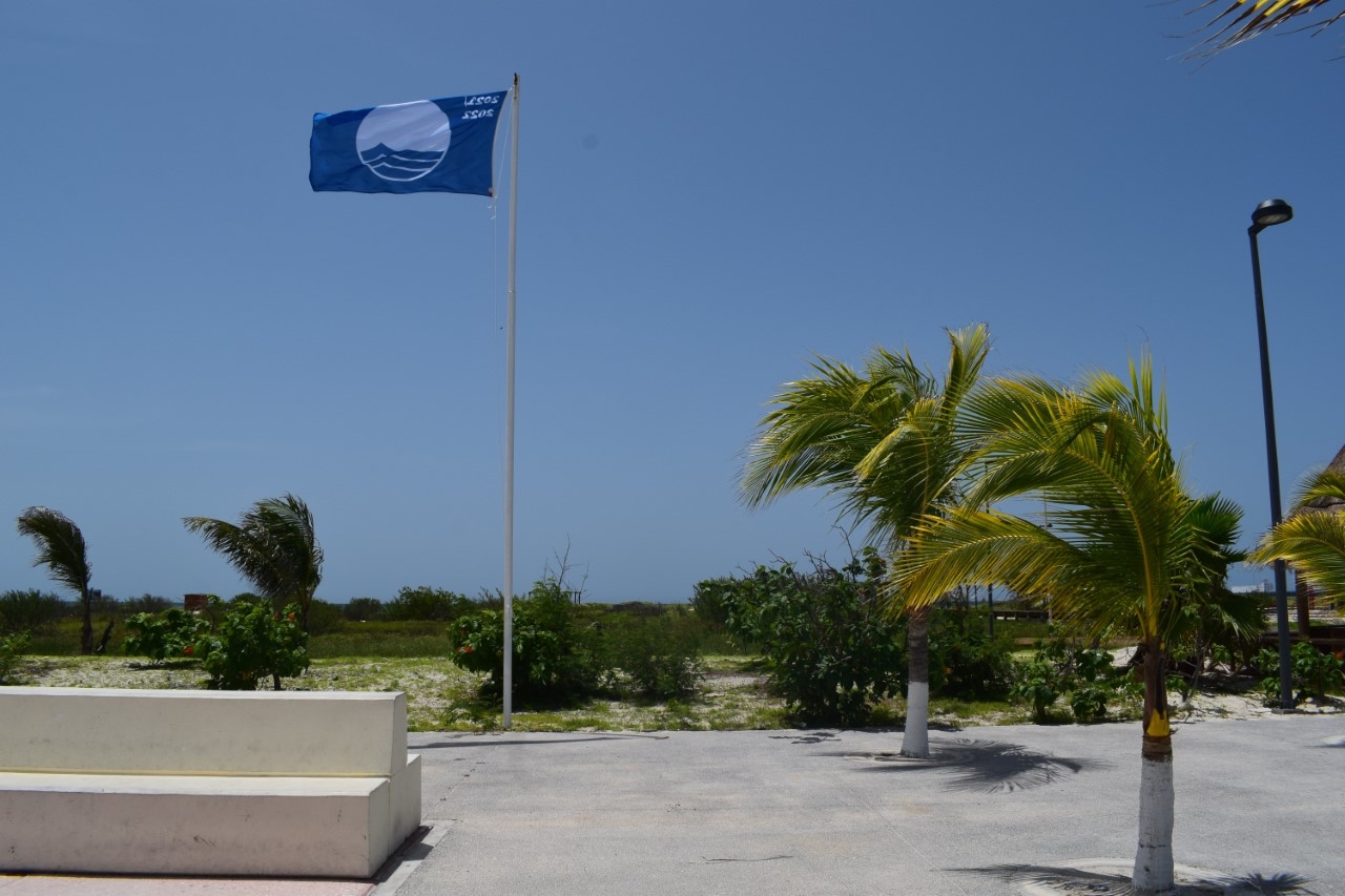 La “baja de la bandera” en el puerto ya fue notificada a la Fundación Europea de Educación Ambiental para adoptar las medidas correspondientes La “baja de la bandera” en el puerto ya fue notificada a la Fundación Europea de Educación Ambiental para adoptar las medidas correspondientes