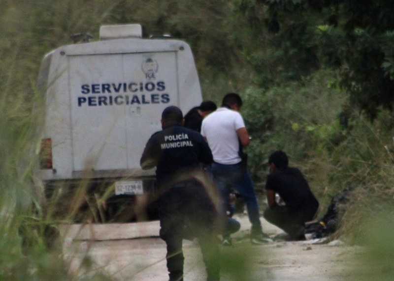 En la misma brecha de la comunidad de Lázaro Cárdenas en Bacalar se han encontrado cuatro cadáveres abandonados En la misma brecha de la comunidad de Lázaro Cárdenas en Bacalar se han encontrado cuatro cadáveres abandonados