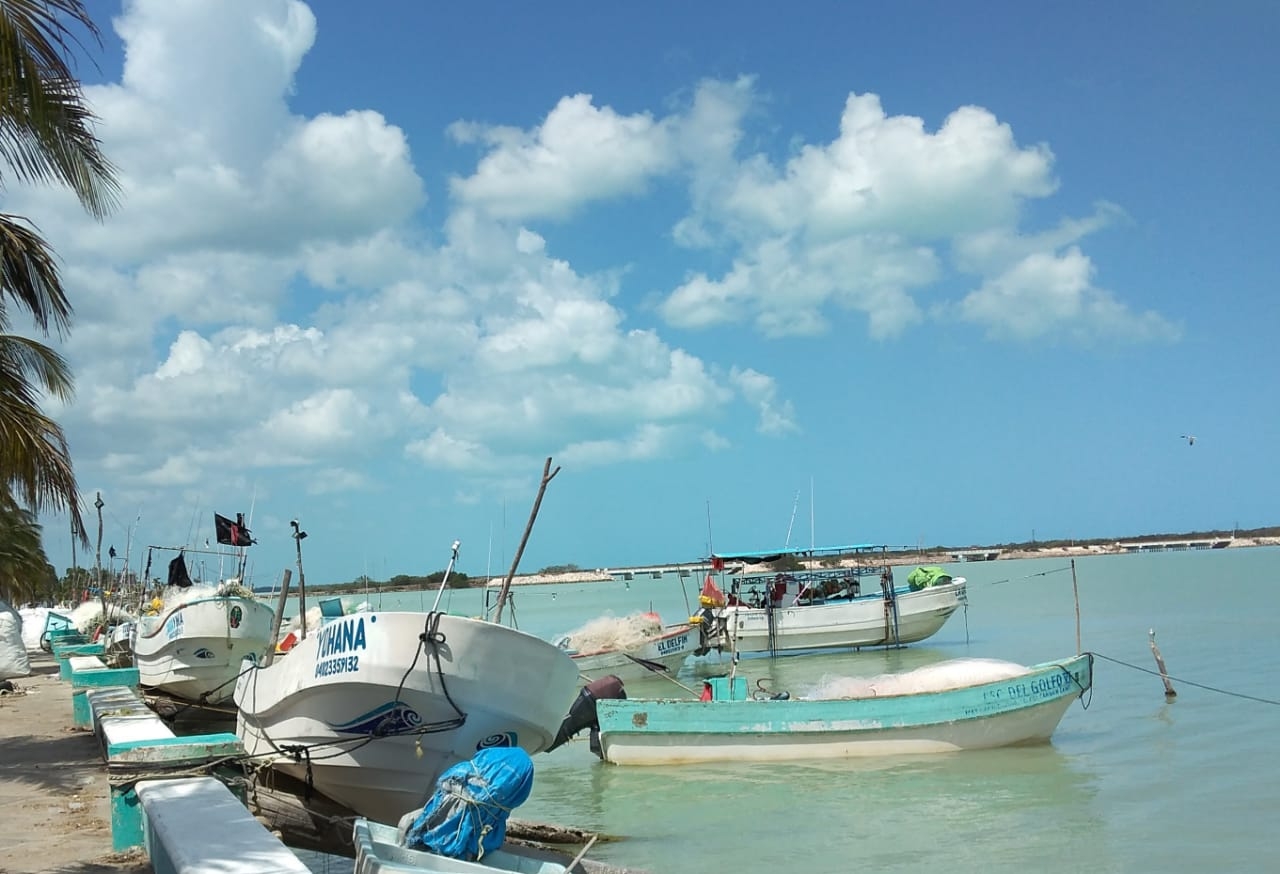 En próximos días los pescadores recibirán sus órdenes de pago para poder cobrar sus apoyos en las sucursales de telecom