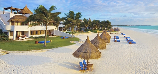 La construcción de la palapa en Playa del Carmen afectaría la anidación de tortugas La construcción de la palapa en Playa del Carmen afectaría la anidación de tortugas