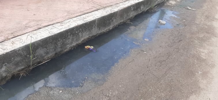 Vecinos de la colonia Centro piden que se sancione a quienes realizan esta acción que les afecta