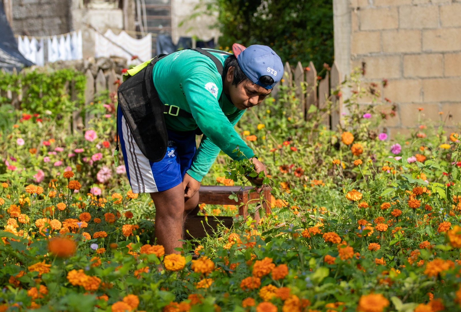El jardín es un atractivo en la comunidad y es visitado durante todo el año El jardín es un atractivo en la comunidad y es visitado durante todo el año