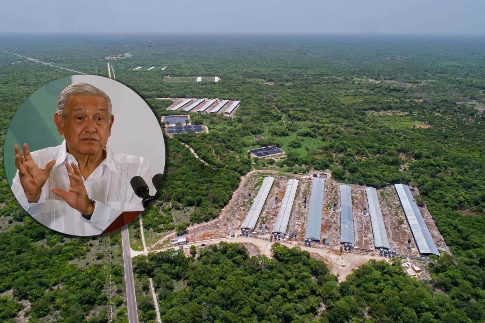 Pobladores cercanos a las granjas porcícolas de Kekén han denunciado contaminación de agua en Yucatán Pobladores cercanos a las granjas porcícolas de Kekén han denunciado contaminación de agua en Yucatán