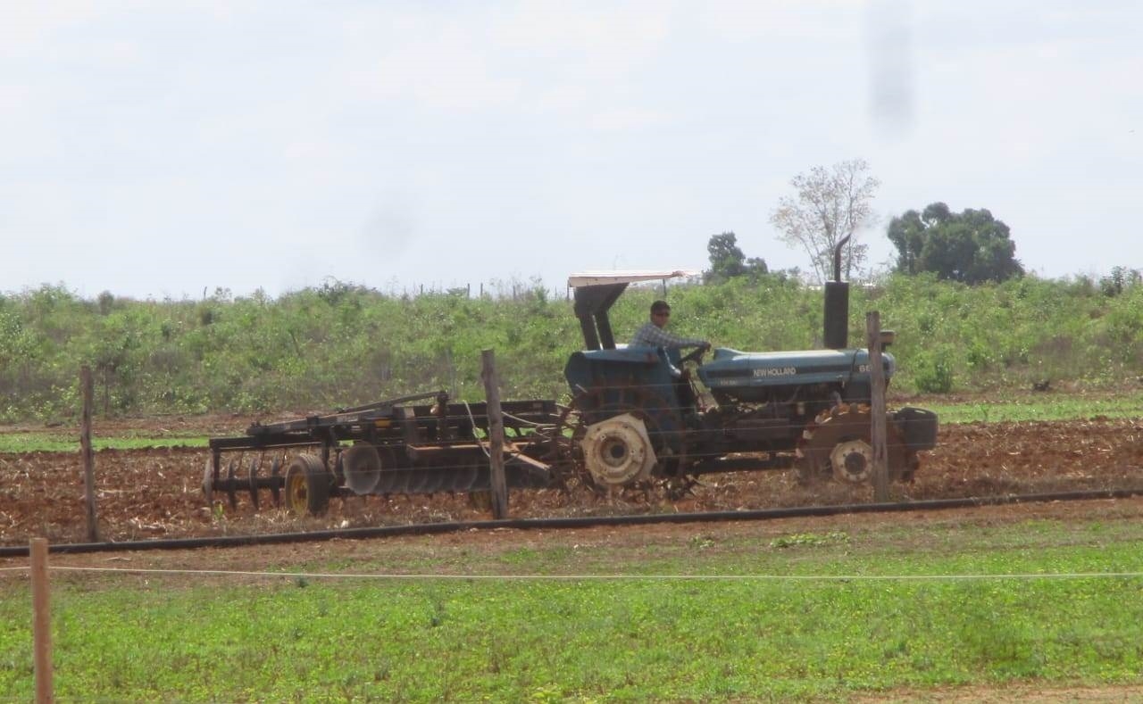 Los menonitas se niegan a firmar un acuerdo para no sembrar soya o maíz transgénico, que dejen de usar el glifosato y también parar la deforestación