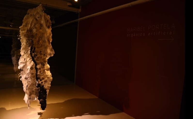 Cerámica, papel, bordados, el mundo orgánico y microscópico, madera, vidrio, papel, acuarela, barro y engobe