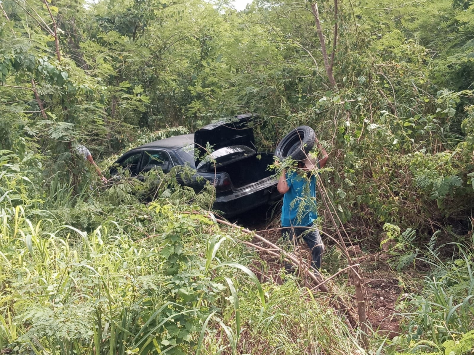 Conductor termina en la maleza tras salirse de la carretera en Baca, Yucatán