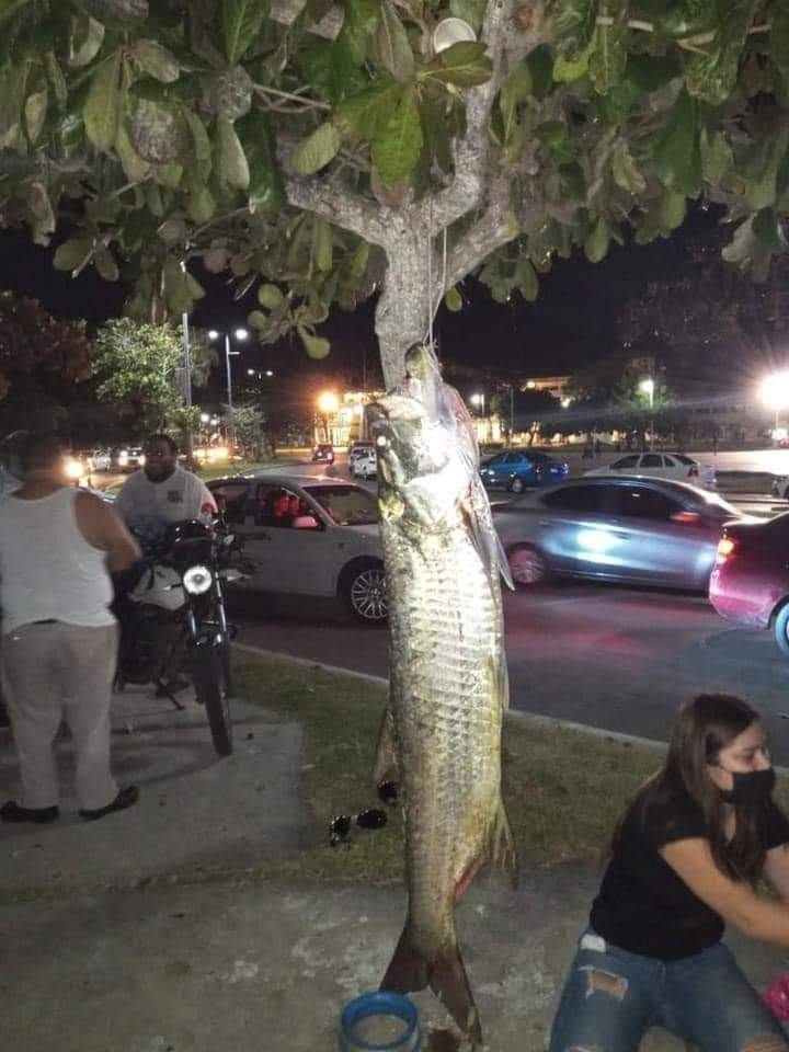 La captura dividió opiniones entre quienes defendieron la pesca y quienes la condenaron
