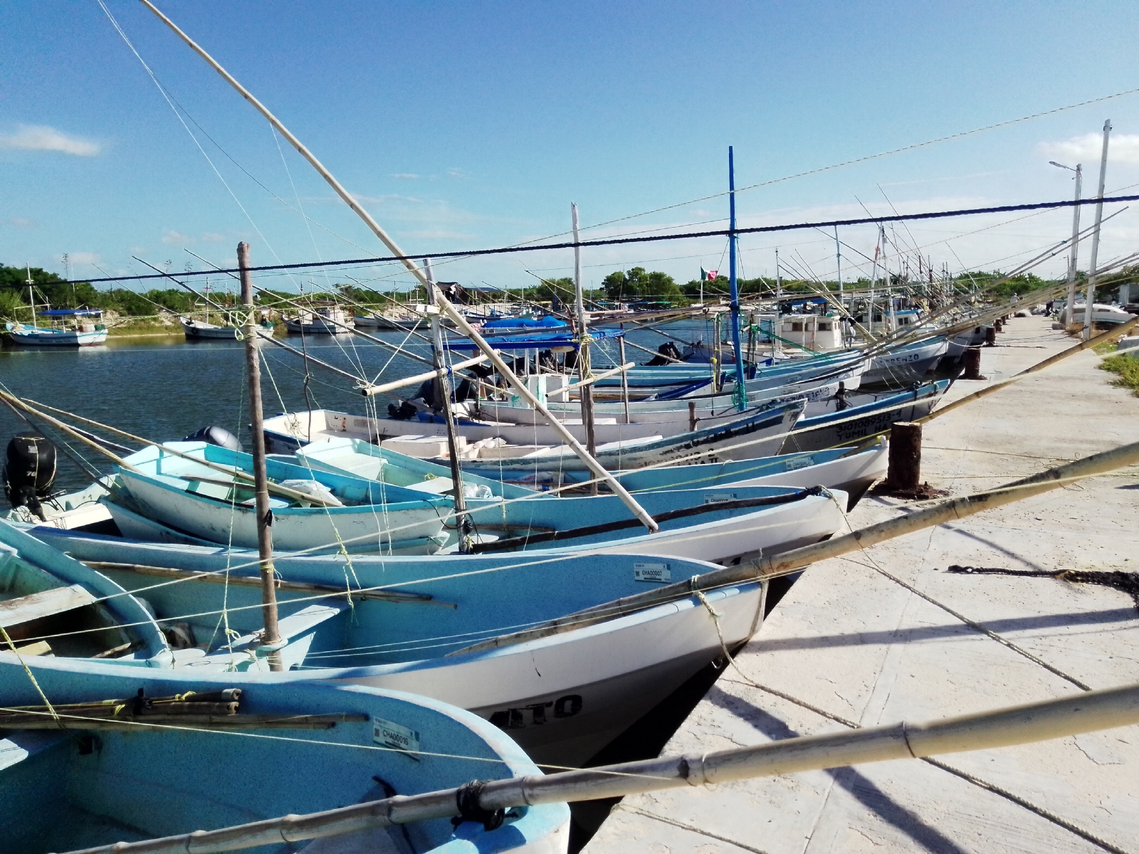 Los hombres de mar esperan poder pescar producto de escamas para así generar ingresos, hace ya dos semanas que están varados en el Puerto de Abrigo