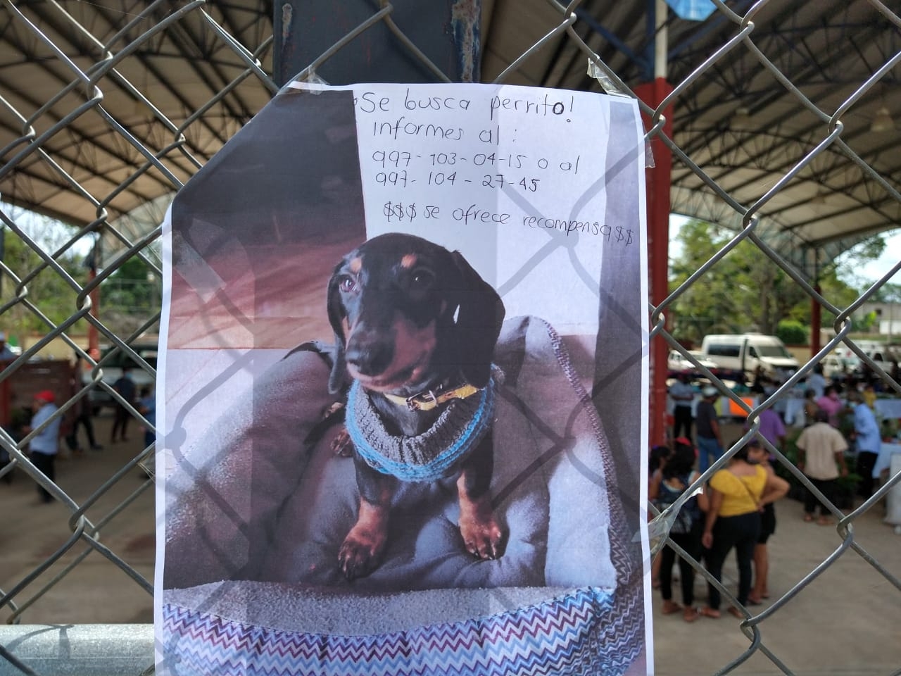 Vecinos desconocen la identidad o rasgos del ladrón