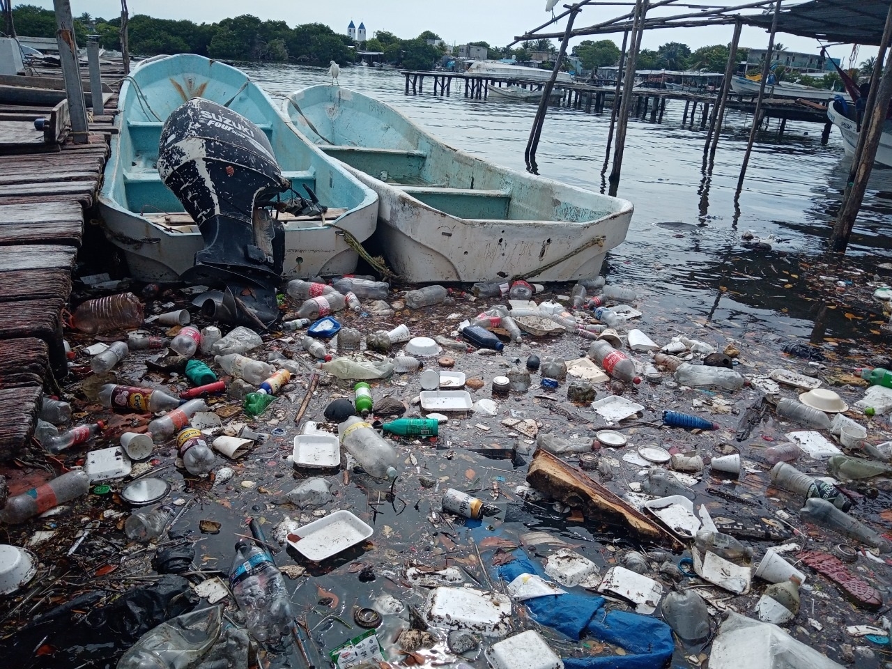 Los microplásticos matan a las especies marinas, pero también terminan en las mesas de cientos de familias carmelitas