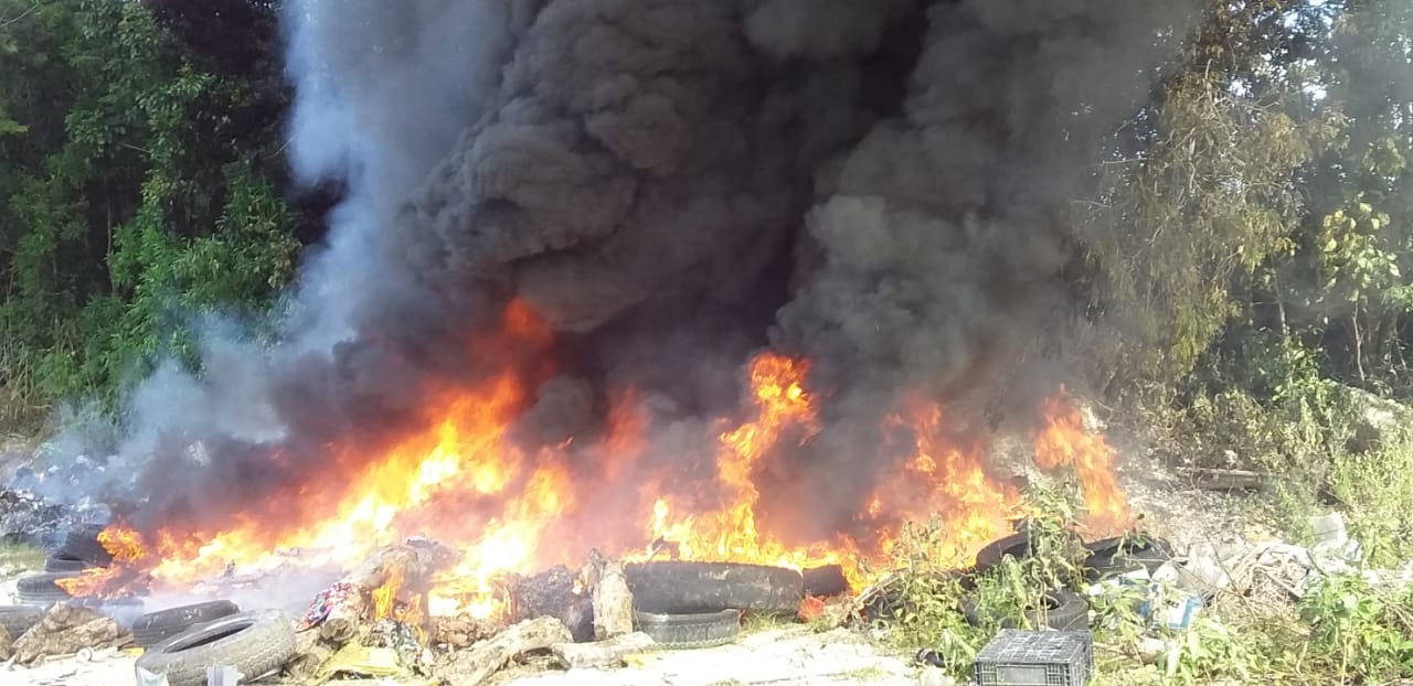 La columna de humo se pudo apreciar en varias colonias aledañas La columna de humo se pudo apreciar en varias colonias aledañas