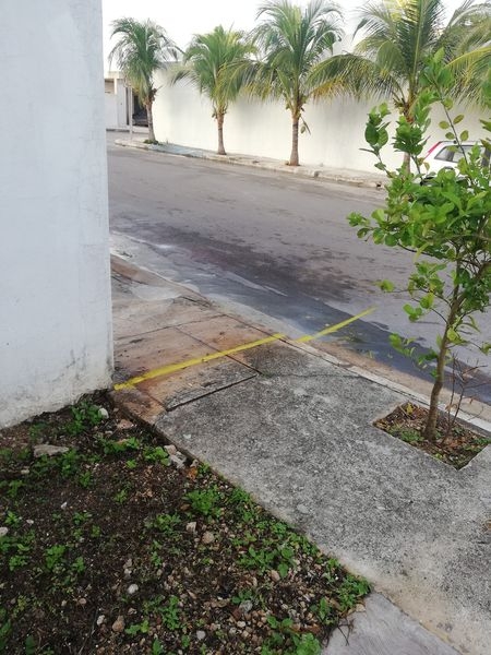 El vecino pintó hasta la calle para que respeten "su propiedad" El vecino pintó hasta la calle para que respeten "su propiedad"