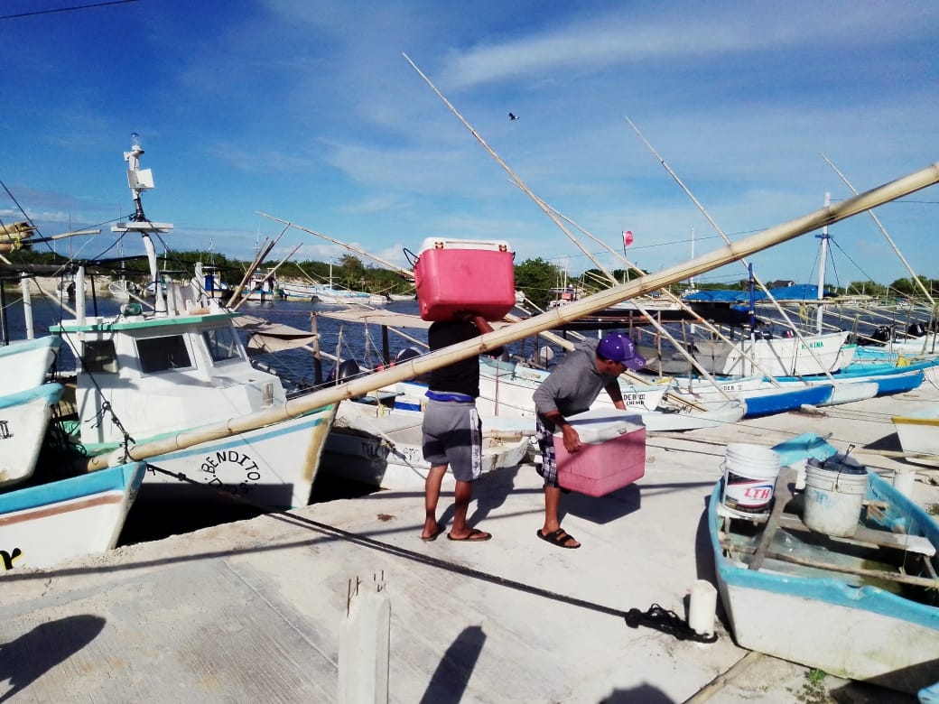 El aumento de precio de la carnada ha impedido que se queden mayor tiempo en las brasas, ya que la mayoría de la trampa no sirve, y sin ella, no pueden trabajar El aumento de precio de la carnada ha impedido que se queden mayor tiempo en las brasas, ya que la mayoría de la trampa no sirve, y sin ella, no pueden trabajar