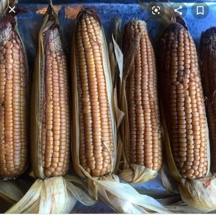 Este producto ha mantenido a Estrella por 50 años Este producto ha mantenido a Estrella por 50 años