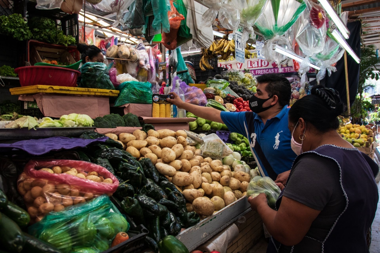 Otros genéricos que contribuyeron a la inflación fueron: el tomate verde, pollo, jitomate, chiles frescos, entreotros Otros genéricos que contribuyeron a la inflación fueron: el tomate verde, pollo, jitomate, chiles frescos, entreotros