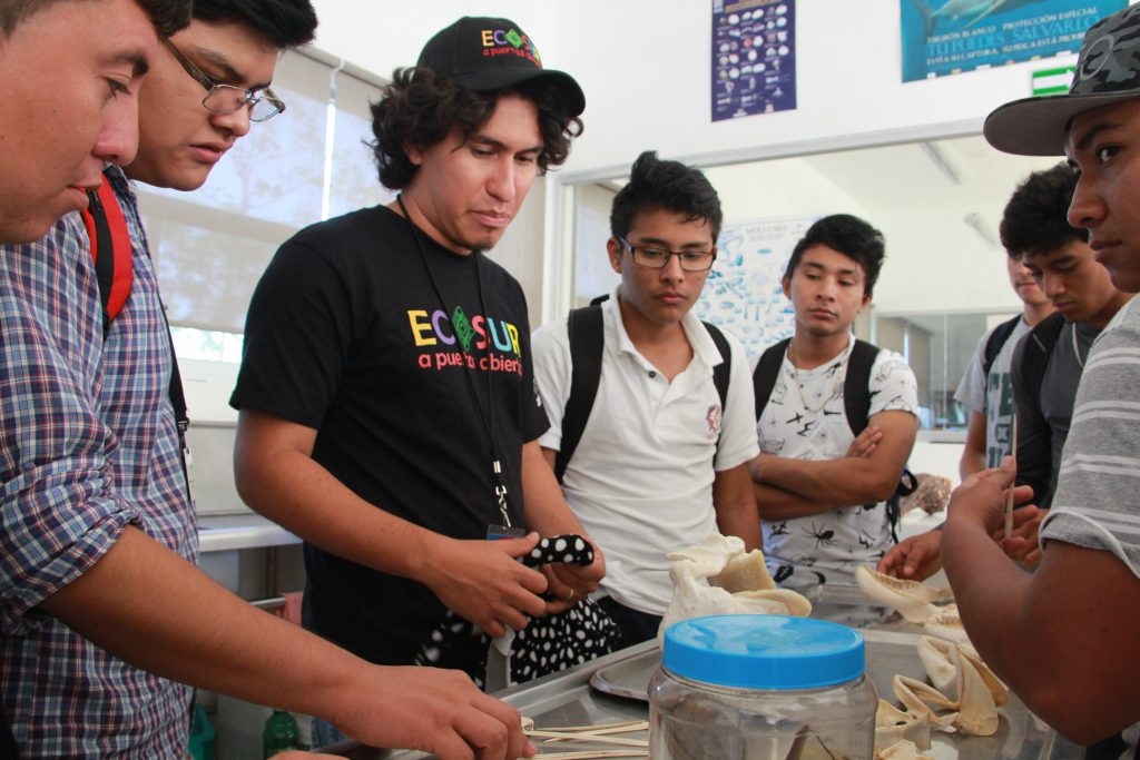 Actualmente muchos estudiantes no han podido hallar un empleo