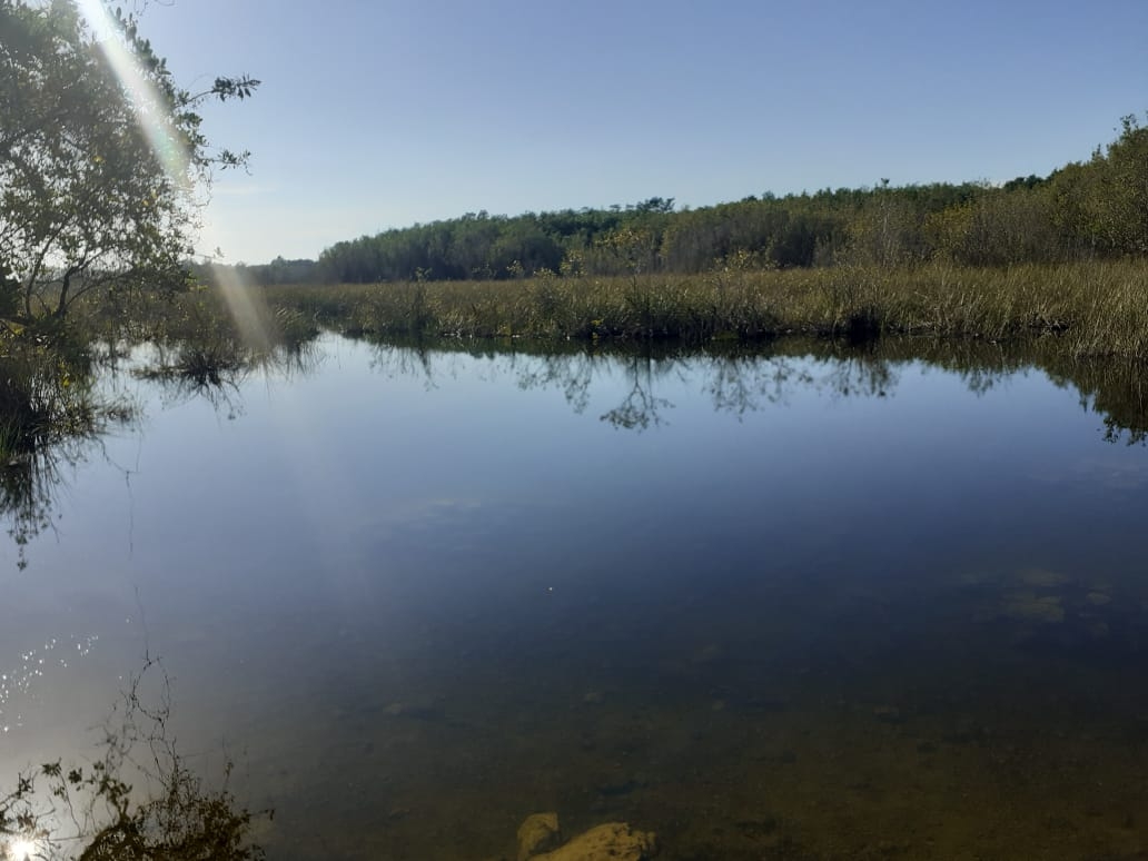 Indicaron que la gente que quiera consumir refrescos o comida tiene salir del área donde está el agua para hacerlo